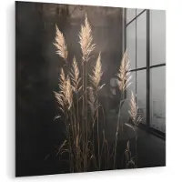 MuchoWow Glasschilderij 20x20 cm - Schilderij acrylglas - Siergras - Pluimen - Verlichting - Zwart - Foto op glas - Muurdecoratie woonkamer - Wanddecoratie slaapkamer - Schilderijen