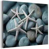 MuchoWow Aluminium schilderij 80x60 cm - Wanddecoratie metaal - Zeesterren - Stenen - Wit - Metalen muurdecoratie woonkamer - Decoratie industrieel - Foto op dibond - Industriële accessoires slaapkamer