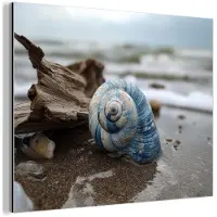 MuchoWow Aluminium schilderij 40x30 cm - Wanddecoratie metaal - Schelp - Strand - Blauw - Zee - Metalen muurdecoratie woonkamer - Decoratie industrieel - Foto op dibond - Industriële accessoires slaapkamer