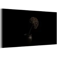 MuchoWow Aluminium schilderij 160x80 cm - Wanddecoratie metaal - Bol - Gedroogd - Vaas - Zwart - Metalen muurdecoratie woonkamer - Decoratie industrieel - Foto op dibond - Industriële accessoires slaapkamer