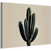 MuchoWow Aluminium schilderij 90x60 cm - Wanddecoratie metaal - Cactus - Subtiel - Groen - Metalen muurdecoratie woonkamer - Decoratie industrieel - Foto op dibond - Industriële accessoires slaapkamer