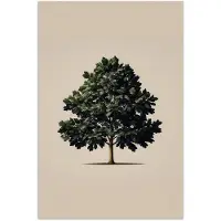 PosterMonkey Poster 60x90 cm - Eikenboom - Schaduw - Egaal - Posters - Kamer decoratie - Wanddecoratie woonkamer - Muurdecoratie slaapkamer
