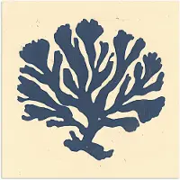 PosterMonkey Poster 30x30 cm - Blauw koraal - Vertakkingen - Beige - Posters - Kamer decoratie - Wanddecoratie woonkamer - Muurdecoratie slaapkamer