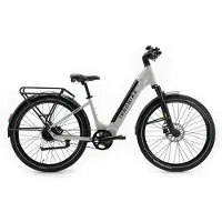 Jobobike Dyno GT - Elektrische Fiets - Grijs