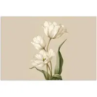 PosterMonkey Poster 30x20 cm - Tulpen - Wit - Bladeren - Posters - Kamer decoratie - Wanddecoratie woonkamer - Muurdecoratie slaapkamer