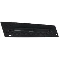 BLIC 6502-07-00629912PP Ventilatiegrille, bumper