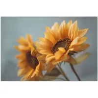 PosterMonkey Poster 30x20 cm - Zonnebloemen - Geel - Wazig - Posters - Kamer decoratie - Wanddecoratie woonkamer - Muurdecoratie slaapkamer