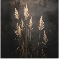 PosterMonkey Poster 75x75 cm - Siergras - Pluimen - Verlichting - Zwart - Posters - Kamer decoratie - Wanddecoratie woonkamer - Muurdecoratie slaapkamer
