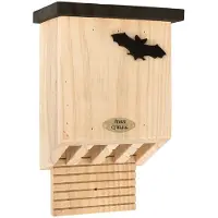 Cj Wildlife Vleermuizenkast Falkenstein |