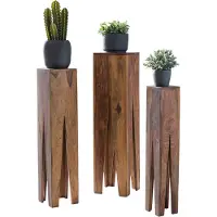 Wohnling Bijzettafelset sheeshamhout 25x100x25 cm