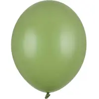 Party Deco Partydeco - Ballonnen latex - Rosemary green Eucalyptus 27 cm (50 stuks)