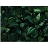 PosterMonkey Poster 160x120 cm - Bladeren - Ovaal - Groen - Nerven - Posters - Kamer decoratie - Wanddecoratie woonkamer - Muurdecoratie slaapkamer XXL