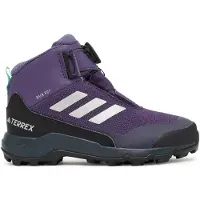 Adidas Boots 'Terrex Winter Mid BOA RAIN.RDY Hiking' grijs / braam / zwart