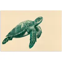 PosterMonkey Poster 30x20 cm - Schildpad - Sierlijk - Groen - Schild - Posters - Kamer decoratie - Wanddecoratie woonkamer - Muurdecoratie slaapkamer