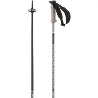 Salomon Polar Pro Stokken