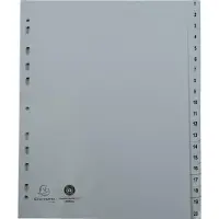 Exacompta tabbladen numeriek voor ft A4, uit PP, 20 tabs, met indexblad, wit