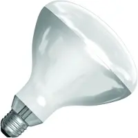 Schiefer E27 Infrarood Lamp | 250W 220V/240V R125