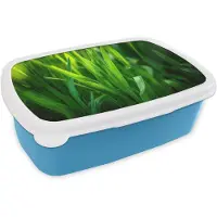 MuchoWow Broodtrommel Blauw - Lunchbox Grassprieten - Lichtinval - Groen - Brooddoos 18x12x6 cm - Brood lunch box - Broodtrommels voor kinderen en volwassenen