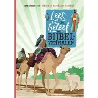 Ark Media Lees en beleef de bijbelverhalen (Hardback)