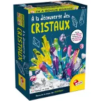 Lisciani i'm a genius pocket science - a la decouverte des cristaux