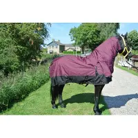 GPD Regendeken luxe vaste hals 300gram zwart/wine red Buitendeken