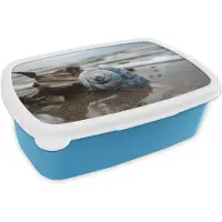MuchoWow Broodtrommel Blauw - Lunchbox Schelp - Strand - Blauw - Zee - Brooddoos 18x12x6 cm - Brood lunch box - Broodtrommels voor kinderen en volwassenen
