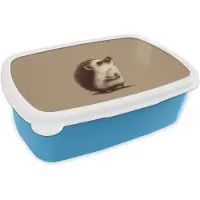 MuchoWow Broodtrommel Blauw - Lunchbox Egel - Snuitje - Bruin - Stekels - Brooddoos 18x12x6 cm - Brood lunch box - Broodtrommels voor kinderen en volwassenen