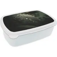 MuchoWow Broodtrommel Wit - Lunchbox Blad - Groen - Nerven - Regendruppels - Brooddoos 18x12x6 cm - Brood lunch box - Broodtrommels voor kinderen en volwassenen