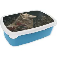MuchoWow Broodtrommel Blauw - Lunchbox Wolf - Bloemen - Natuur - Brooddoos 18x12x6 cm - Brood lunch box - Broodtrommels voor kinderen en volwassenen
