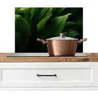 KitchenYeah Spatscherm keuken 60x40 cm - Kookplaat achterwand Bladeren - Schaduw - Groen - Textuur - Muurbeschermer - Spatwand fornuis - Hoogwaardig aluminium