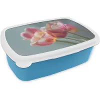 MuchoWow Broodtrommel Blauw - Lunchbox Tulpen - Roze - Stelen - Brooddoos 18x12x6 cm - Brood lunch box - Broodtrommels voor kinderen en volwassenen