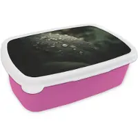 MuchoWow Broodtrommel Roze - Lunchbox Blad - Groen - Nerven - Regendruppels - Brooddoos 18x12x6 cm - Brood lunch box - Broodtrommels voor kinderen en volwassenen