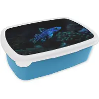 MuchoWow Broodtrommel Blauw - Lunchbox Vis - Stippen - Koraal - Blauw - Brooddoos 18x12x6 cm - Brood lunch box - Broodtrommels voor kinderen en volwassenen