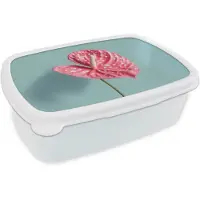 MuchoWow Broodtrommel Wit - Lunchbox Blad - Anthurium - Stippen - Roze - Brooddoos 18x12x6 cm - Brood lunch box - Broodtrommels voor kinderen en volwassenen