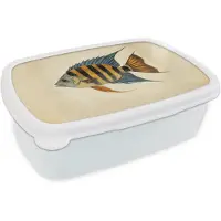 MuchoWow Broodtrommel Wit - Lunchbox Vis - Tropisch - Strepen - Vinnen - Brooddoos 18x12x6 cm - Brood lunch box - Broodtrommels voor kinderen en volwassenen