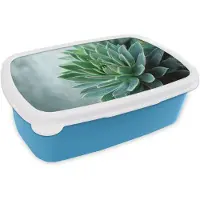 MuchoWow Broodtrommel Blauw - Lunchbox Vetplant - Bladeren - Groen - Wazig - Brooddoos 18x12x6 cm - Brood lunch box - Broodtrommels voor kinderen en volwassenen