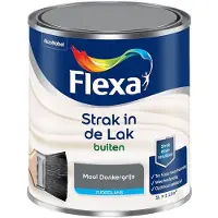 Flexa - Strak In De Lak Buitenlak Zijdeglans - Mooi Donkergrijs - Mengverf - 1 L