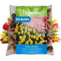 Organifer 50 Tulpen - 4 Levendige Soorten - XXL Bolmaat 12 cm/+ - Bloembollen - Tulipa - Kleurenmix - Zomerbollen - Voorjaarsbollen - Trekt vlinders en bijen aan - Vaste planten -