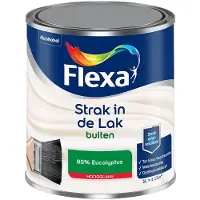 Flexa - Strak In De Lak Buitenlak Hoogglans - 85% Eucalyptus - Mengverf - 1 L