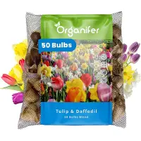 Organifer 50 Tulpen- en Narcissen Mix - 8 Soorten - XXL Bolmaat 12/14 cm/+ - Bloembollen - Narcissen - Kleurenmix - Zomerbollen - Voorjaarsbollen - Trekt vlinders en bijen aan - Vaste planten -