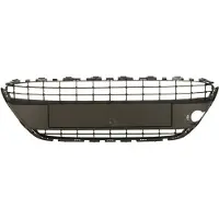 BLIC 6509-01-2565995P Ventilatiegrille, bumper