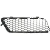 BLIC 6502-07-0111924Q Ventilatiegrille, bumper