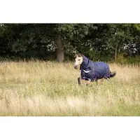 LeMieux Kudos Turnout Paardendeken 215