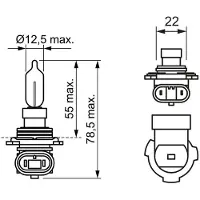 Bosch Gloeilamp Pure Light HIR2 55W 12V