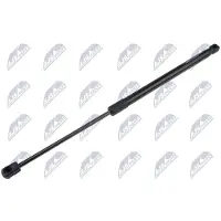 NTY AE-SK-053 Gasveer achterklep
