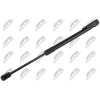 NTY AE-NS-046 Gasveer achterklep