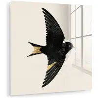 MuchoWow Glasschilderij 90x90 cm - Schilderij acrylglas - Zwarte zwaluw - Gouden accenten - Lichte achtergrond - Foto op glas - Muurdecoratie woonkamer - Wanddecoratie slaapkamer - Schilderijen