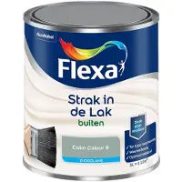 Flexa - Strak In De Lak Buitenlak Zijdeglans - Calm Colour 6 - Mengverf - 1 L