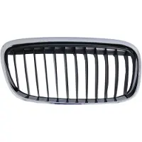 BLIC Radiatorrooster 6502-07-0071996LP