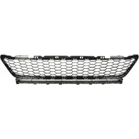 BLIC 6502-07-9550910GP Ventilatiegrille, bumper